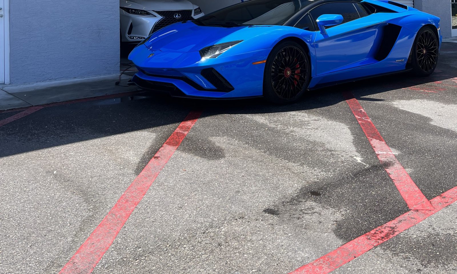 Blue Lamborghini with show-car gloss after mobile detailing near Chapel Hill